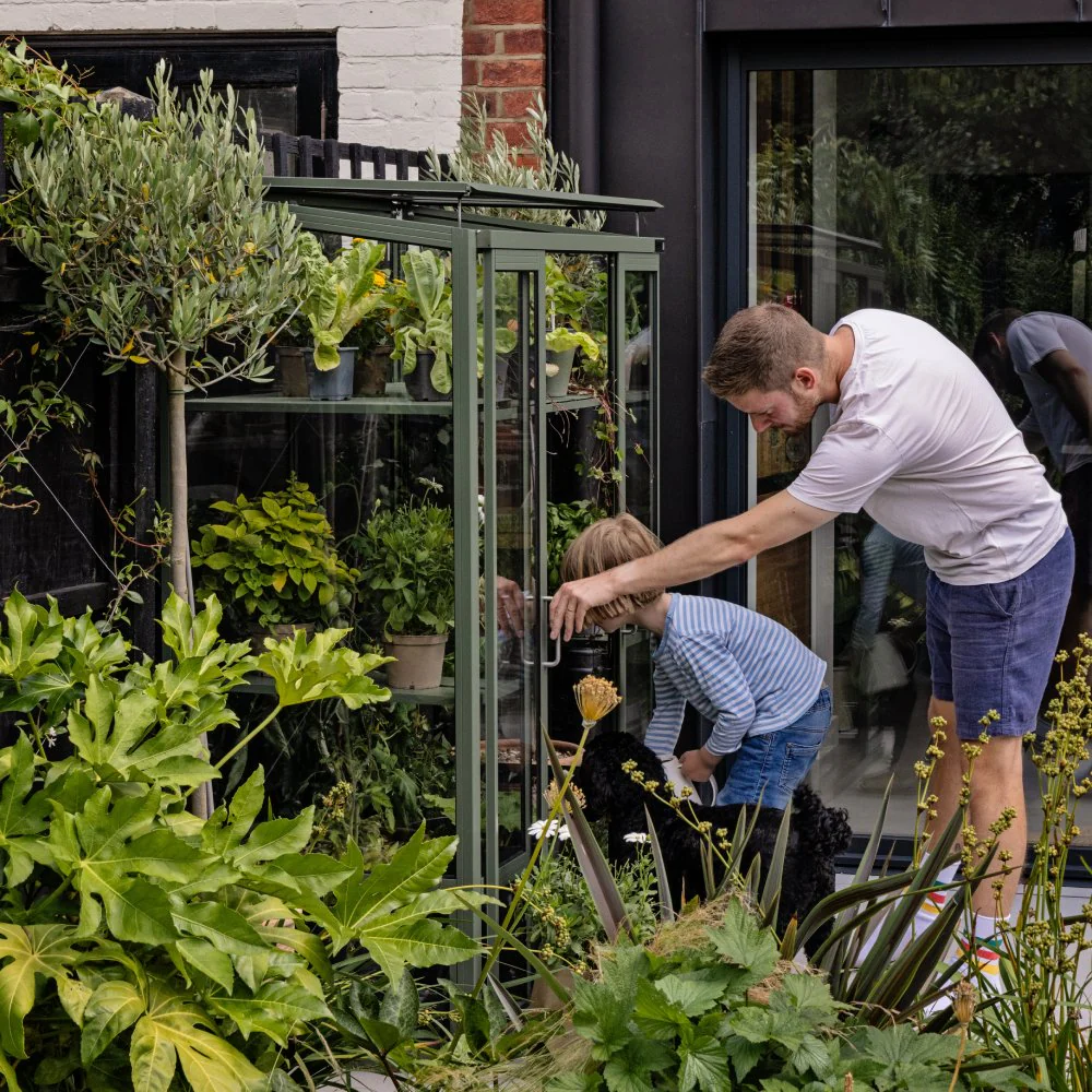 All Greenhouses for Sale